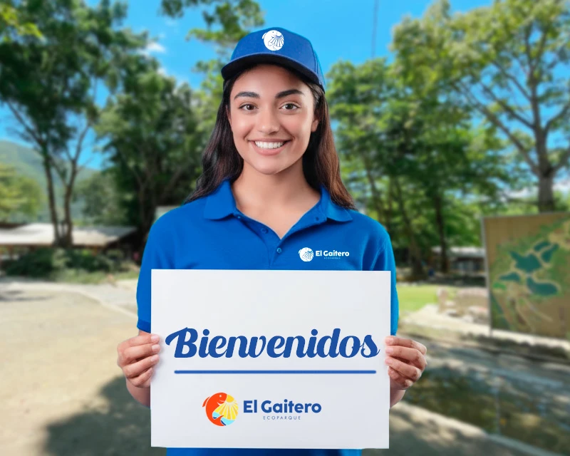 Asesora El Gaitero El Gaitero