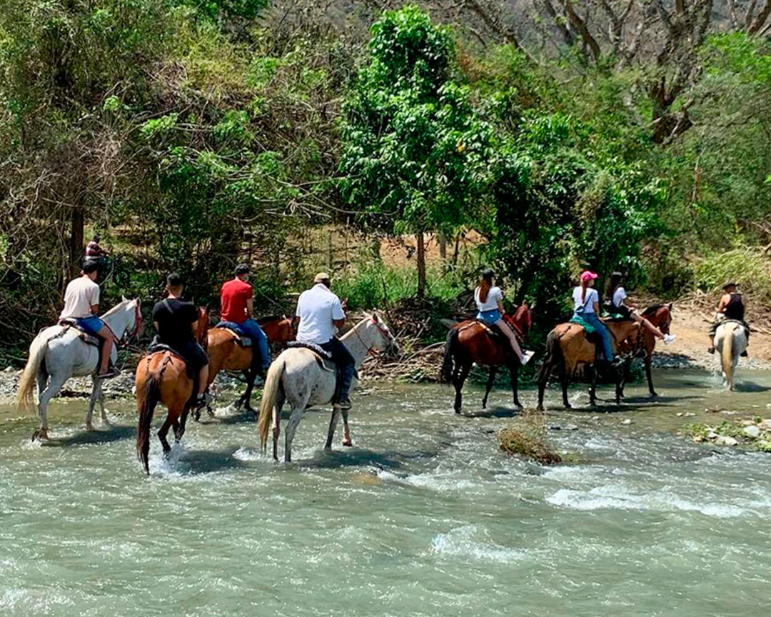 Ecoparque 15 El Gaitero Cabalgatas El Gaitero El Gaitero
