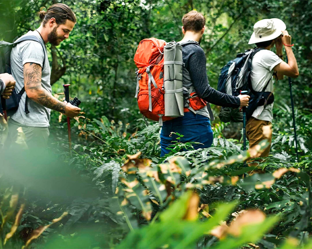 Camintas El Gaitero El Gaitero