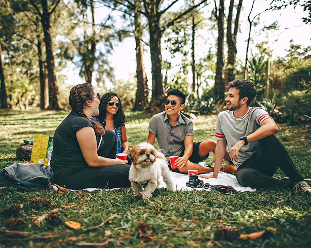 Ecoparque 10 El Gaitero Picinic El Gaitero El Gaitero