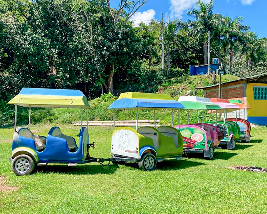 Ecoparque 22 El Gaitero Tren El Gaitero El Gaitero