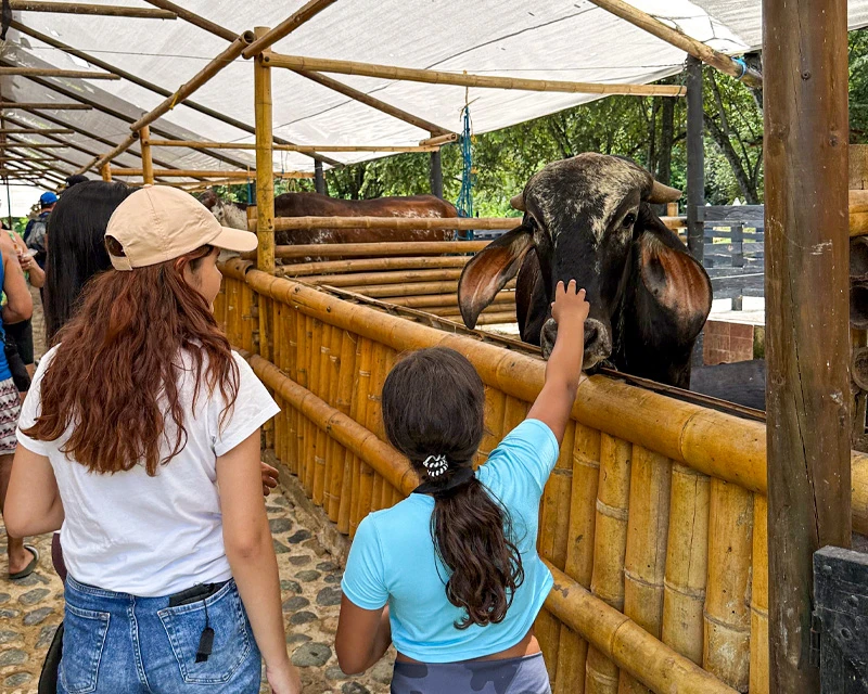 Ecoparque 8 El Gaitero Granja En El Gaitero El Gaitero