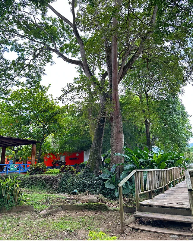 Senderos el gaitero (1)