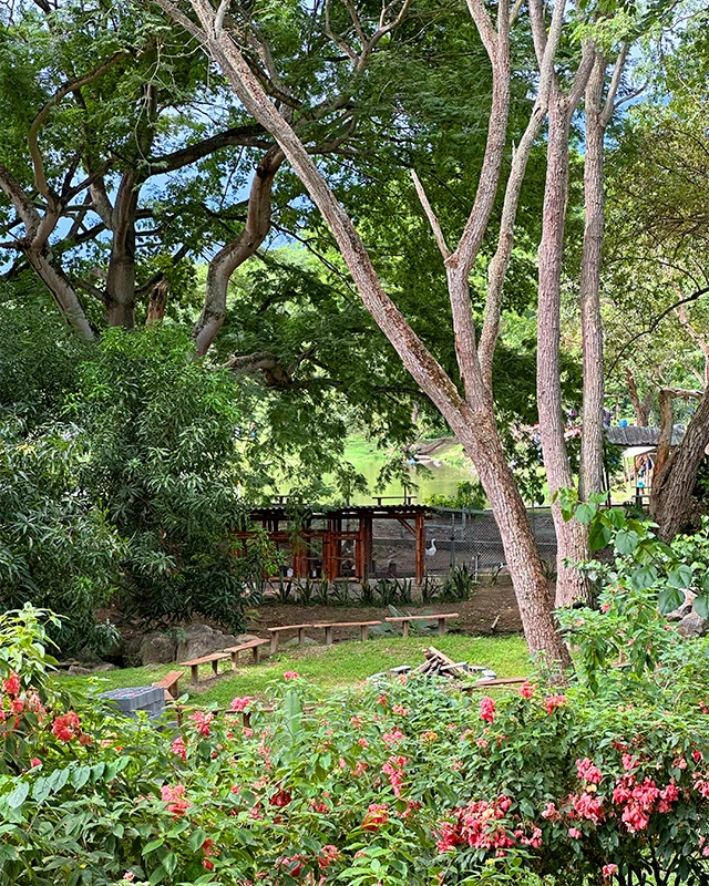 Senderos el gaitero (2)