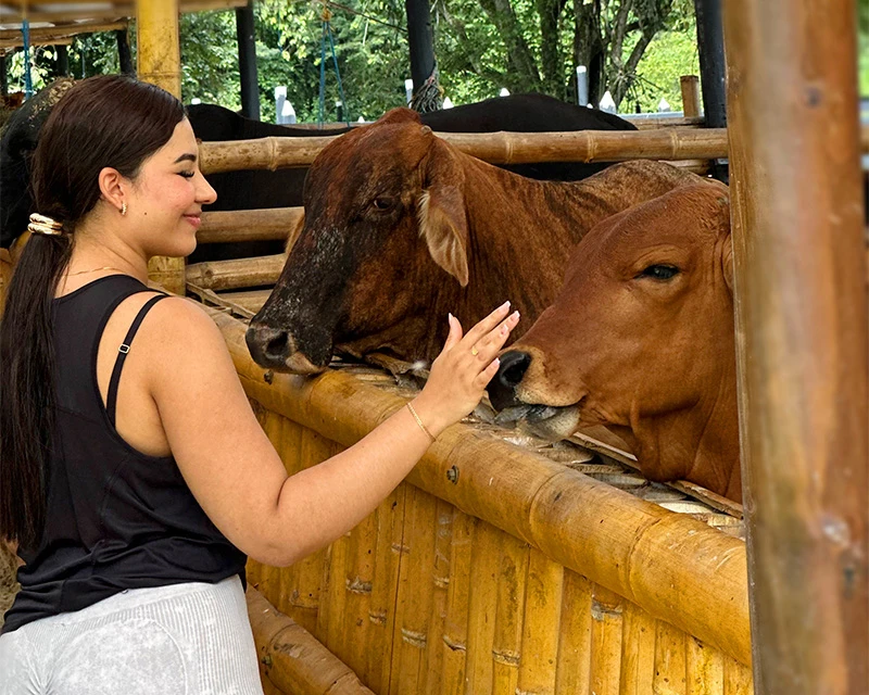 granja interactiva El Gaitero